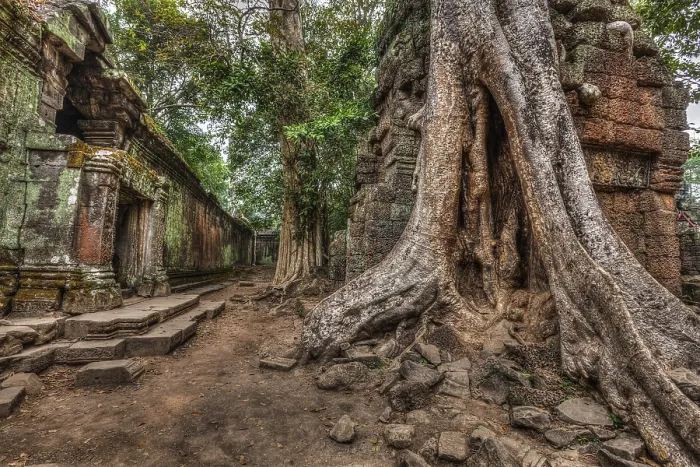 Framed Print : High dynamic range (hdr) image of ancient ruins with trees Framed Print : High dynamic range (hdr) image of ancient ruins with trees