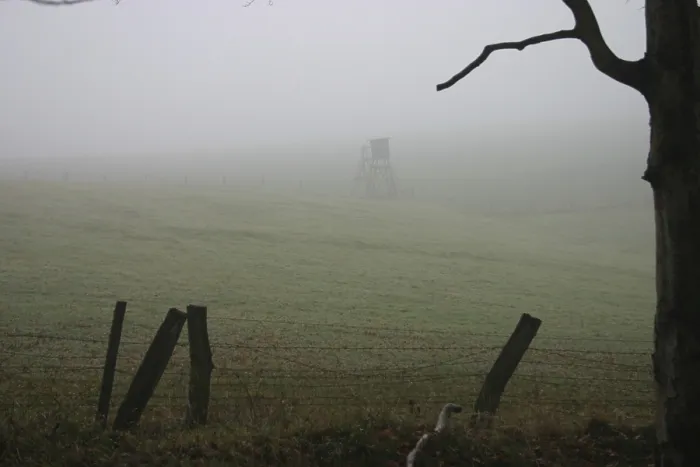Framed Print : High seat in the fog