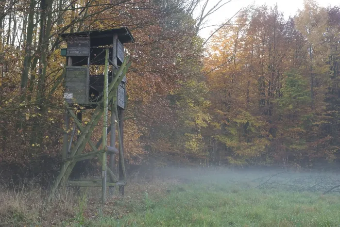 Framed Print : High seat, Kurler bush, Dortmund