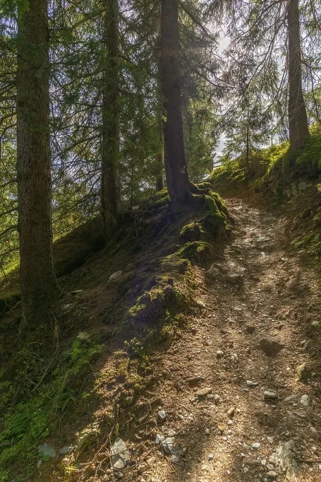 Framed Print : Hike Eggalm to Tux-Vorderlanersbach (1257m)