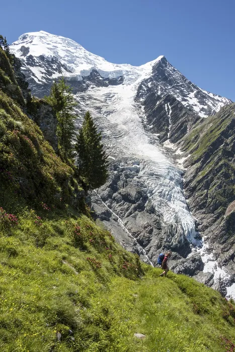 Framed Print : Hiker in front of glacier, hiking trail La Jonction Framed Print : Hiker in front of glacier, hiking trail La Jonction