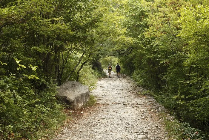 Framed Print : Hikers in the forest, Velika Paklenica Canyon