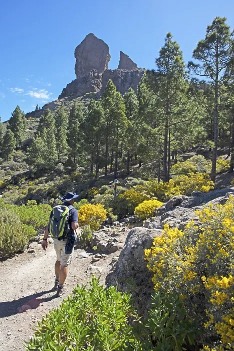 Framed Print : Hikers in the Parque Rural del Nublo