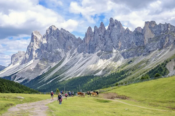 Framed Print : Hikers on a path at a alp meadow at the mighty Odle Group mountains in the Dolomites Framed Print : Hikers on a path at a alp meadow at the mighty Odle Group mountains in the Dolomites