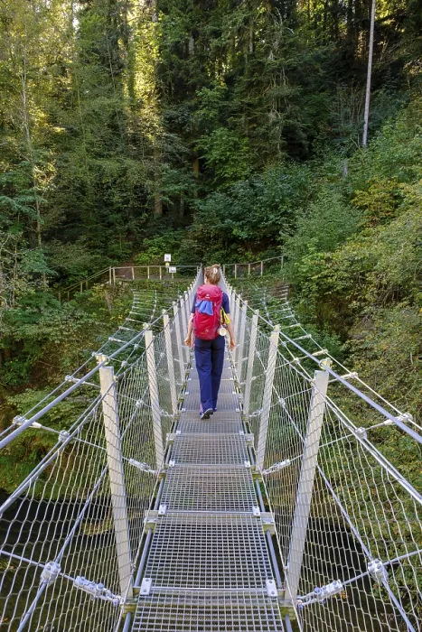 Framed Print : Hikers at the suspension bridge over the Danube