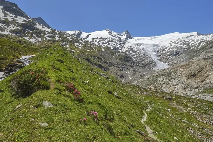 Framed Print : Hiking along the glacier trail in Innergschloess