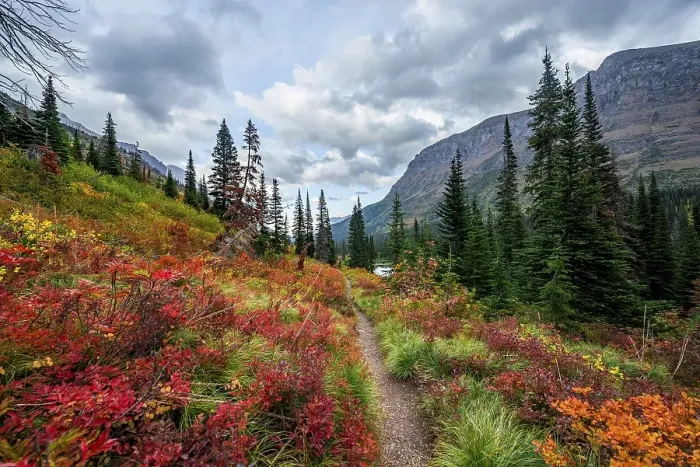 Framed Print : Hiking trail through bushes in autumn colors