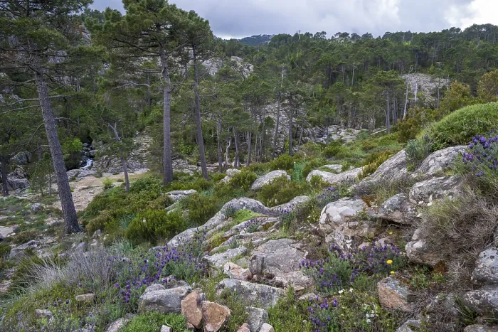 Framed Print : Hiking trail to the Cascade de Piscia di Gallo waterfall