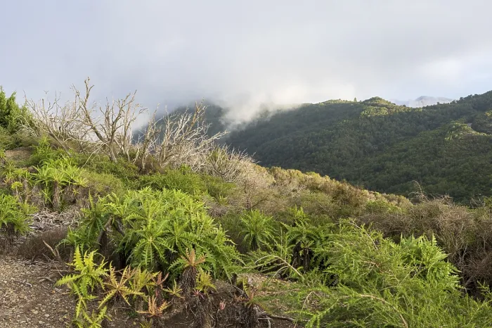 Framed Print : Hiking trail to the highest point of the island