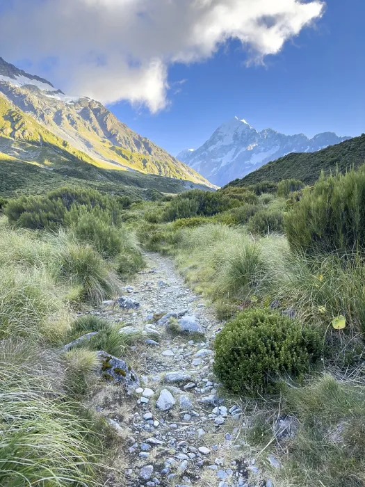 Framed Print : Hiking trail of the Hooker Valley Track