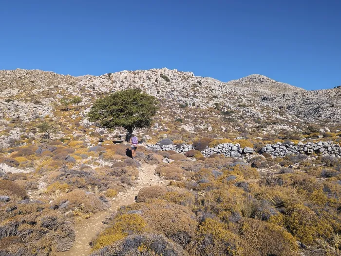 Framed Print : The hiking trail to Kali Limni leads through barren landscape with single trees and rocks