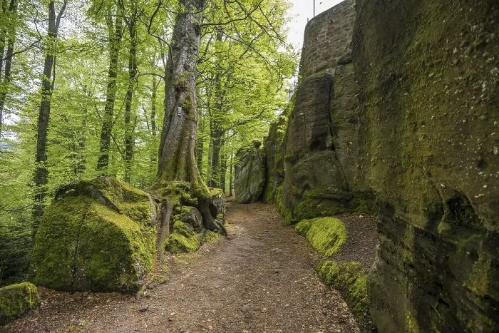 Framed Print : Hiking trail and rocks, Mont Sainte-Odile monastery