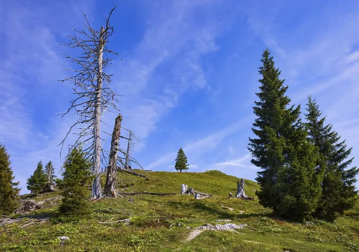 Framed Print : Hiking trail to the summit of the Taborberg Framed Print : Hiking trail to the summit of the Taborberg