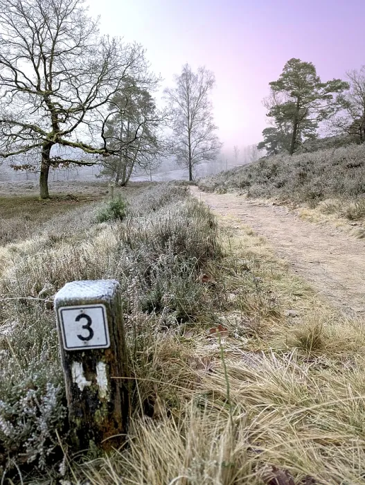 Framed Print : Hiking in winter in the frost in the Fischbeker Heide in Hamburg