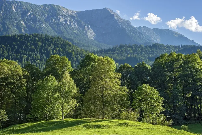 Framed Print : Hill with trees, natural landscape in the park of Linderhof Castle