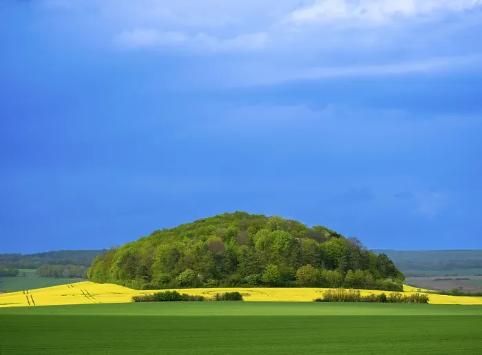 Framed Print : Hill with trees behind a rape field near Adelebsen Framed Print : Hill with trees behind a rape field near Adelebsen