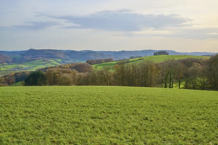 Framed Print : Hilly green landscape with trees and wind turbines on the horizon Framed Print : Hilly green landscape with trees and wind turbines on the horizon