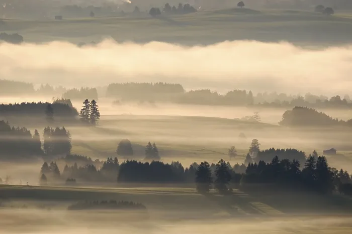 Framed Print : Hilly landscape with morning fog