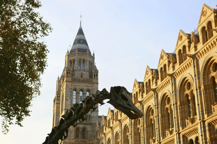 Framed Print : Historic building with impressive tower and dinosaur skeleton in the foreground in sunny weather