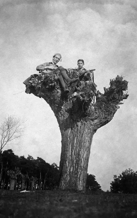 Framed Print : Historic photo, two musicians sitting in a willow
