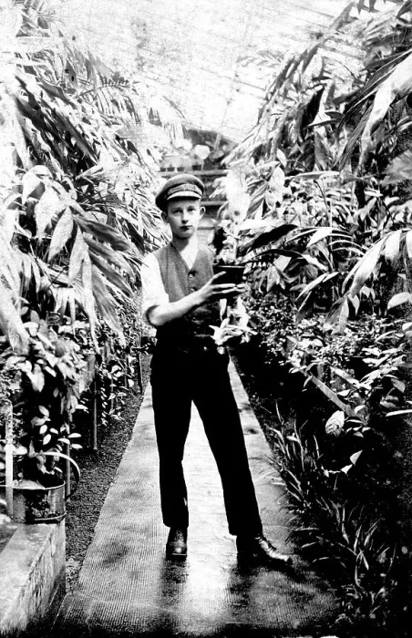 Framed Print : Historic photograph, gardener in a greenhouse