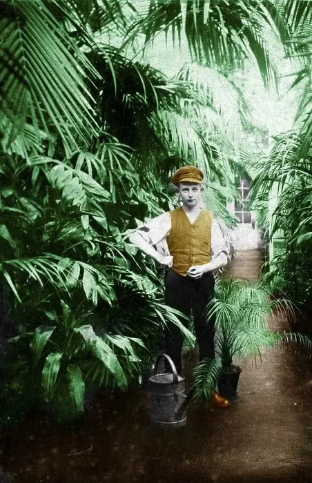 Framed Print : Historic photograph, gardener in a greenhouse