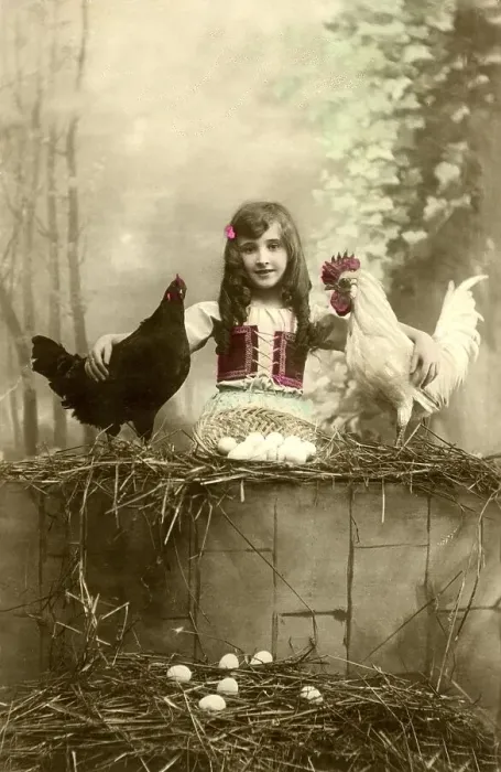 Framed Print : Historic photograph, girl with two chickens Framed Print : Historic photograph, girl with two chickens