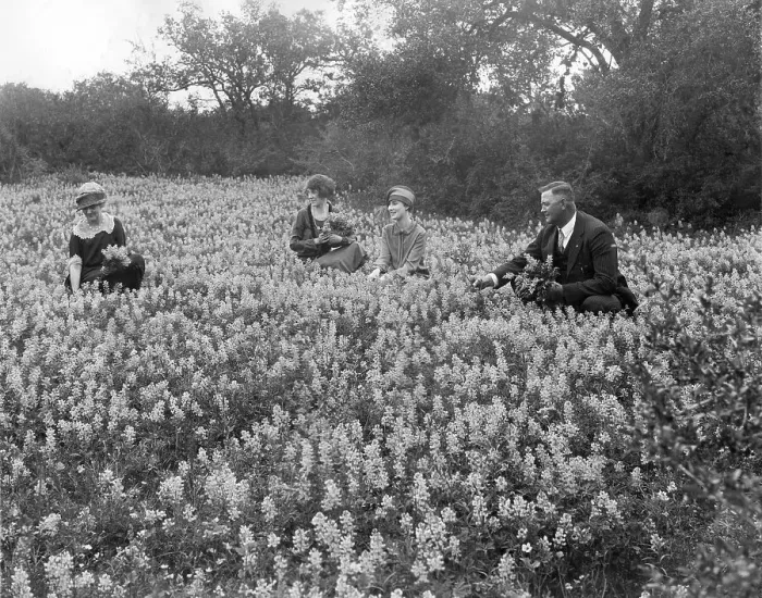 Framed Print : Historic photograph, people picking flowers