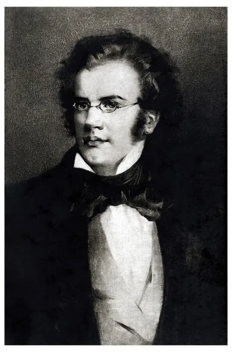 Framed Print : Historic portrait, Franz Schubert Framed Print : Historic portrait, Franz Schubert