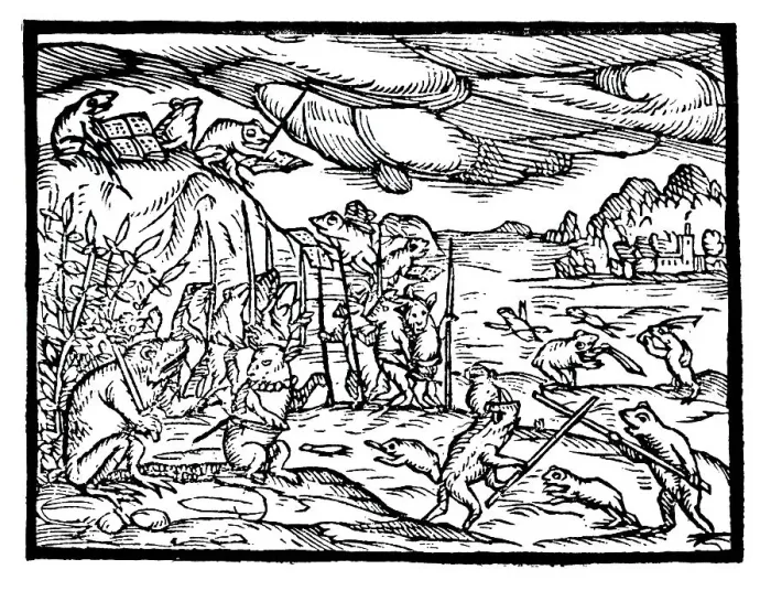 Framed Print : Historic print, woodcut from 1595