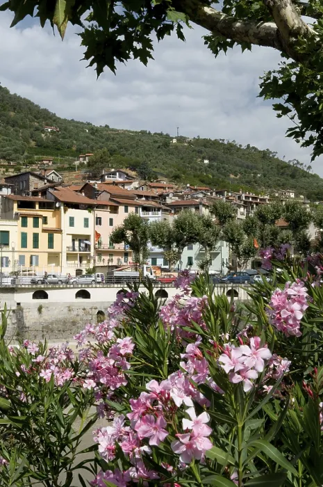 Framed Print : Historic town along Nervia river