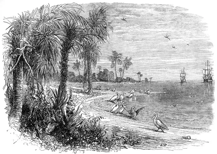 Framed Print : Historical drawing from the U.S