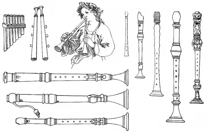 Framed Print : Historical drawing, various forms of old woodwind instruments Framed Print : Historical drawing, various forms of old woodwind instruments