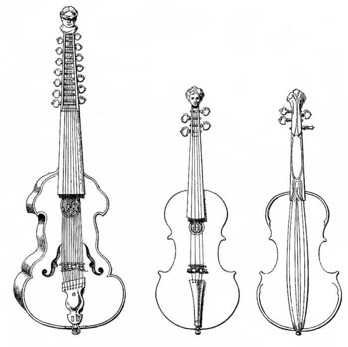 Framed Print : Historical drawing, various stringed instruments