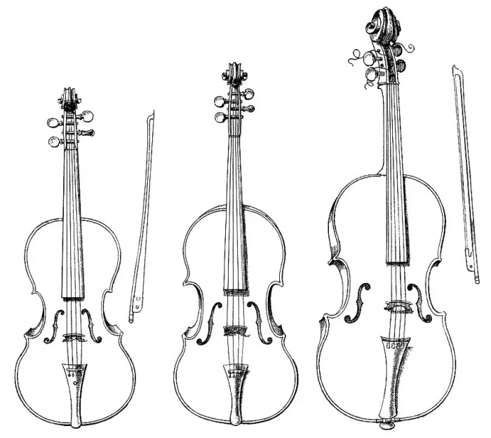 Framed Print : Historical drawings, various forms of string instruments