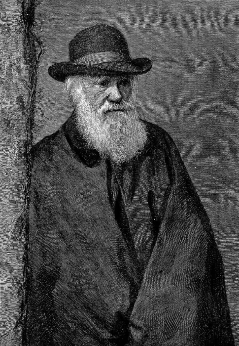 Framed Print : Historical image, Charles Darwin at the age of 72 Framed Print : Historical image, Charles Darwin at the age of 72
