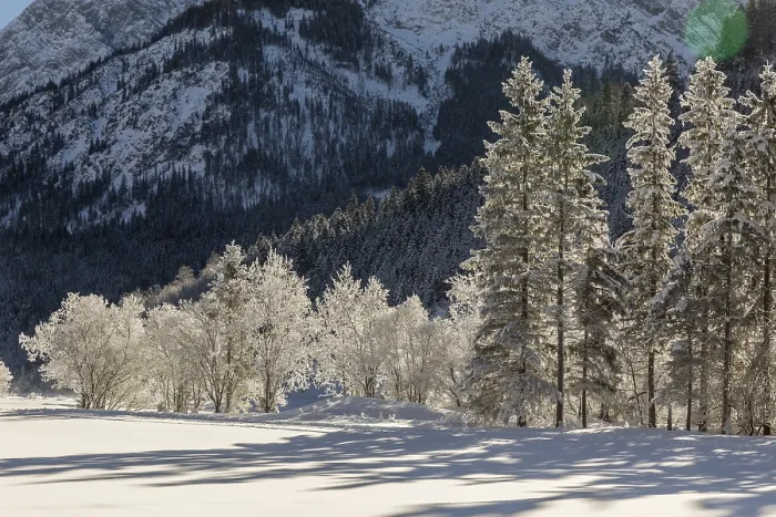 Framed Print : Hoar frosted trees in the Eng valley