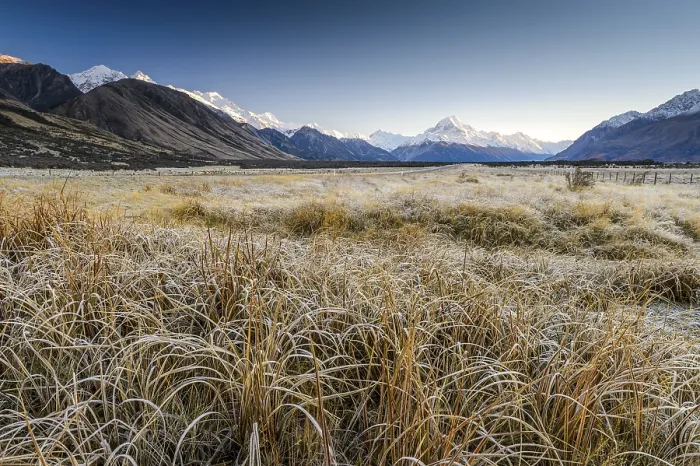 Framed Print : Hoarfrost on dried grass, Aoraki