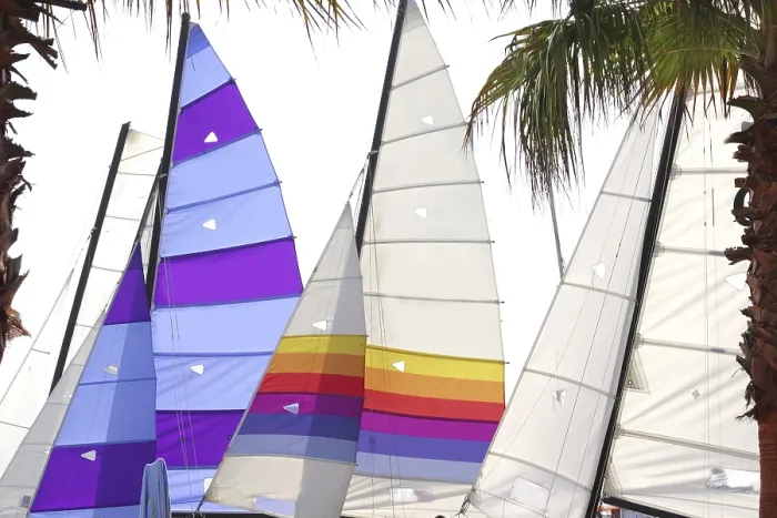 Framed Print : Hoby hobby cat colorful sails palm tree leaf summer sport vacation