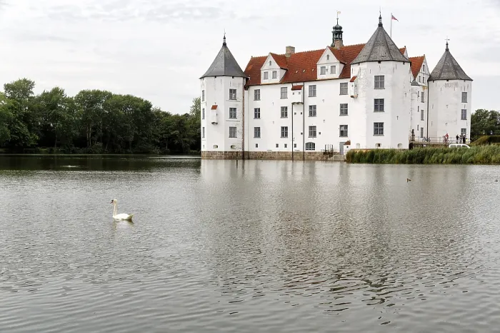 Framed Print : Hocker swan (Cygnus olor) in front of Glucksburg Castle