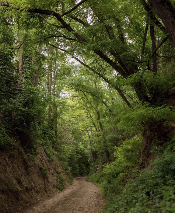 Framed Print : Hollow way in Ulrichskirchen, Lower Austria