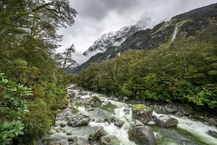 Framed Print : Hollyford river with snowy mountains