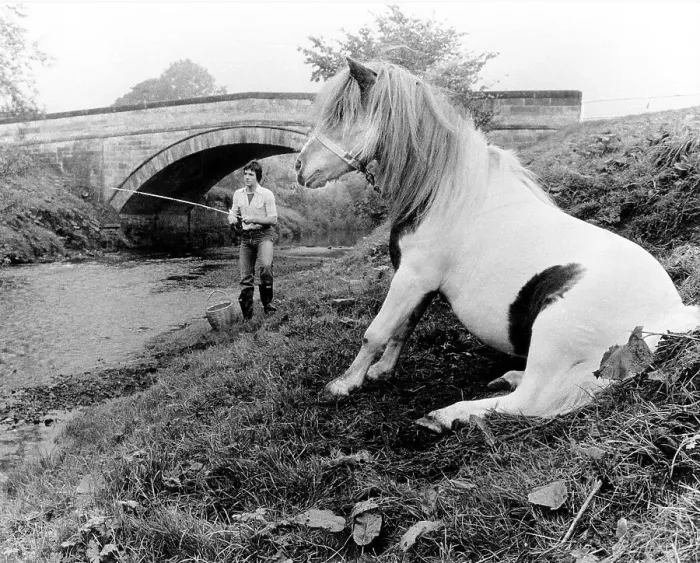 Framed Print : Horse and angler on shore, England, Great Britain Framed Print : Horse and angler on shore, England, Great Britain