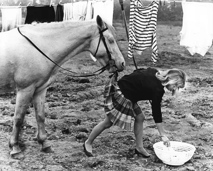Framed Print : Horse bites into a woman's skirt