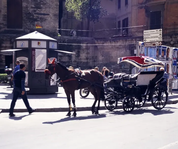 Framed Print : Horse and carriage in front of the Norman Cathedral of Monreale, Cathedral of Monreale, near Palermo, Sicily, Italy, 1999, Europe Framed Print : Horse and carriage in front of the Norman Cathedral of Monreale, Cathedral of Monreale, near Palermo, Sicily, Italy, 1999, Europe