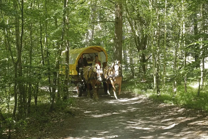 Framed Print : Horse-drawn carriage travelling through the forest