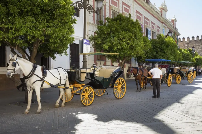 Framed Print : Horse-drawn carriages at Plaza del Triunfo