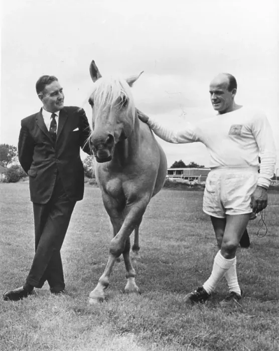 Framed Print : Horse on football field, England, Great Britain