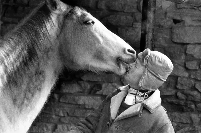 Framed Print : Horse kissing man, ca. 1970s, exact place unknown Framed Print : Horse kissing man, ca. 1970s, exact place unknown