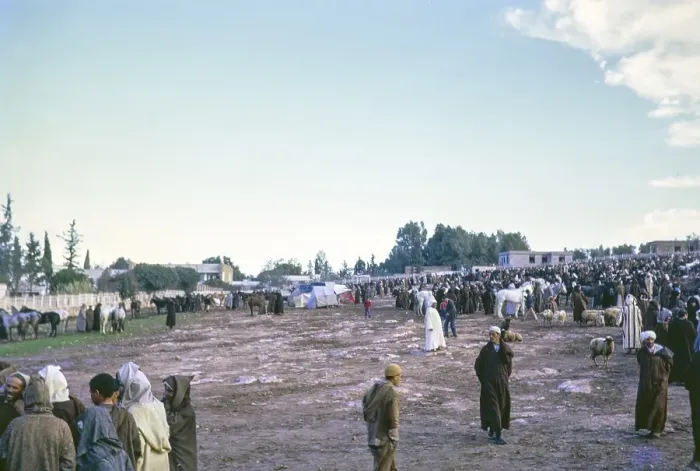 Framed Print : Horse market near Marrakech, Morocco, north Africa 1973, Africa Framed Print : Horse market near Marrakech, Morocco, north Africa 1973, Africa